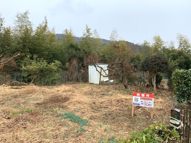 外観：330000074912