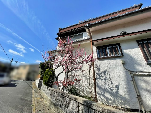 現地写真