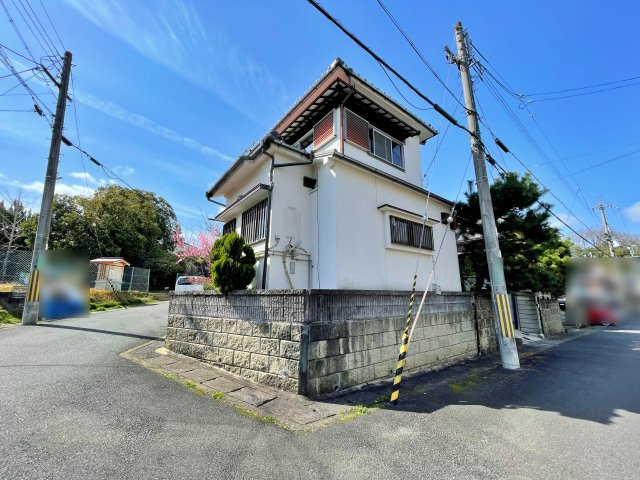 現地写真