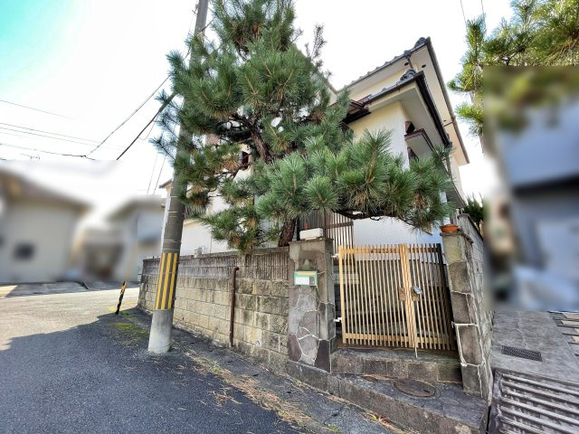現地写真
