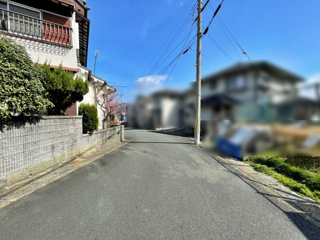 現地写真