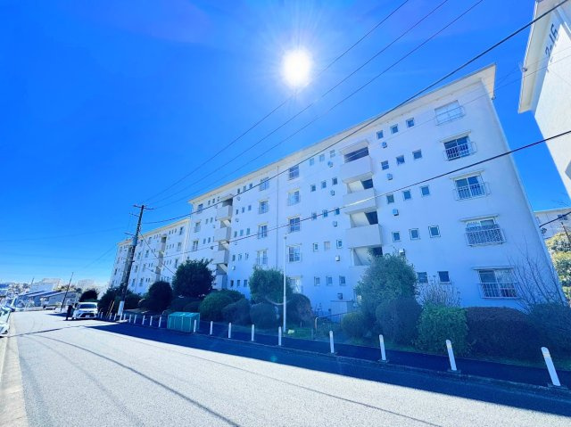 外観：314002672514