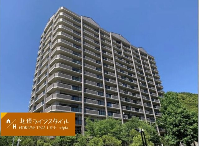 外観：328000597865