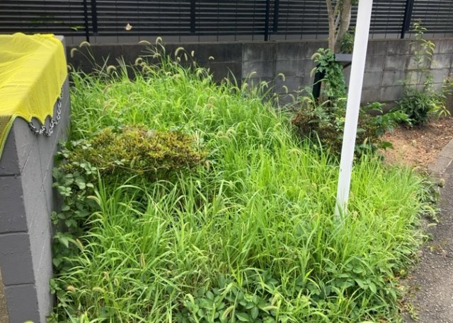 中庭（パティオ）とは、一つの建築物の内部に設けられた、壁などで囲われている庭のことを指します。コの字型、ロの字型が主流ですが、L字型の中庭もあります。最近では、インテリア性の高さからも人気があります。