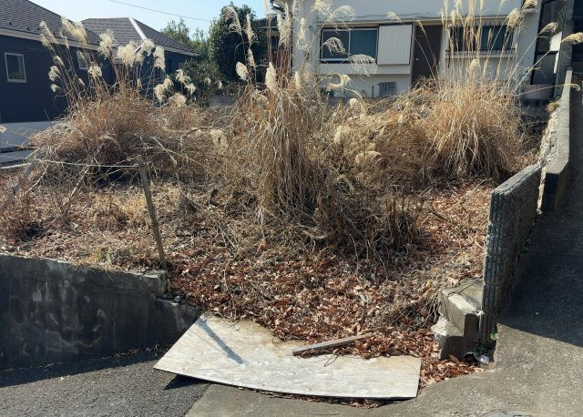 外観：313004303591