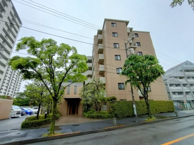 外観：313004558581