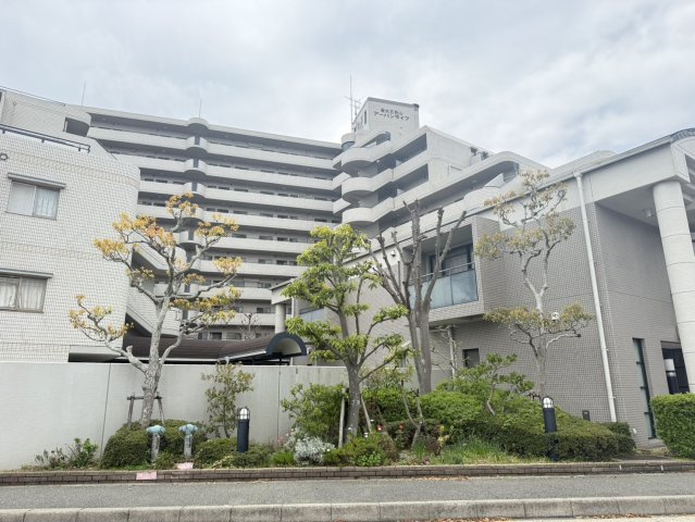 外観：328000626574