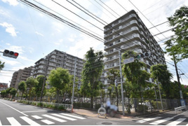 大島スカイハイツの外観