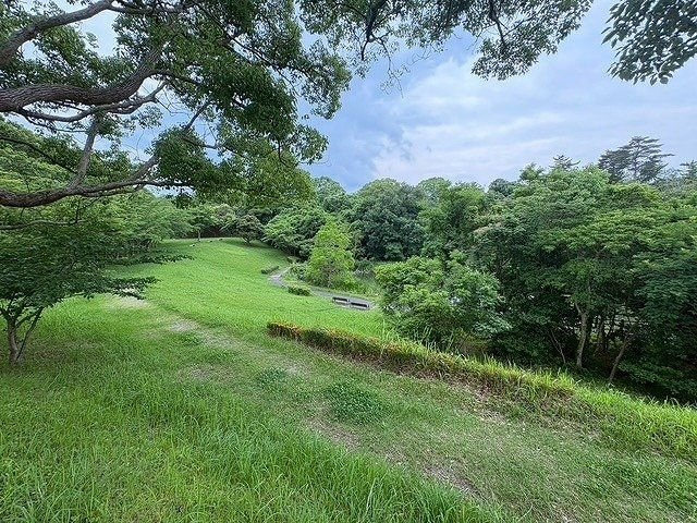 近隣の公園です。