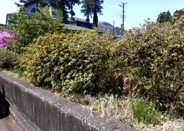 人が暮らすうえで日光は大切な要素となります。日当たりの良さは譲れないポイントですね。併せて近くに大きな建築物の建築予定がないか、あるいはそれが可能な土地が近くにないか事前に確認することもお勧めします。