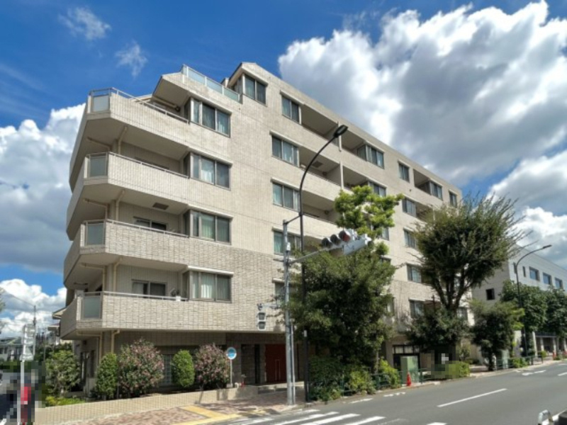 外観：313004671937