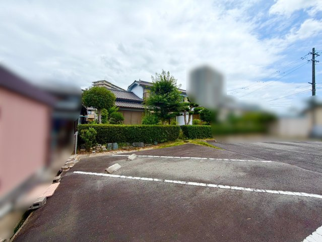 現地？