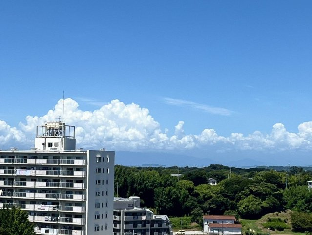 展望