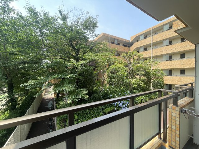 展望