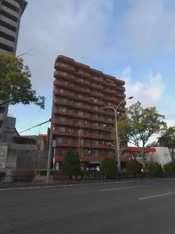 外観：323000461423