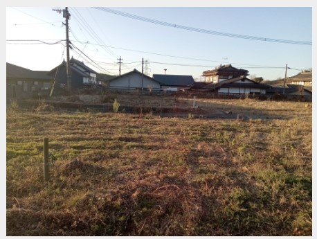 外観：343000087261