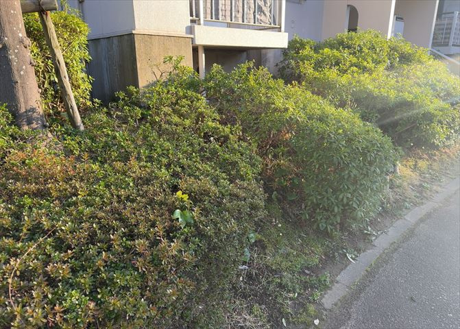 物件によっては、入居者が個人的に使用できる専用庭がついているものもあります。また、住宅の中にある土間の部分を庭と呼ぶこともあります。庭の用途は住む人によって変わり、それによってデザインもさまざまです。