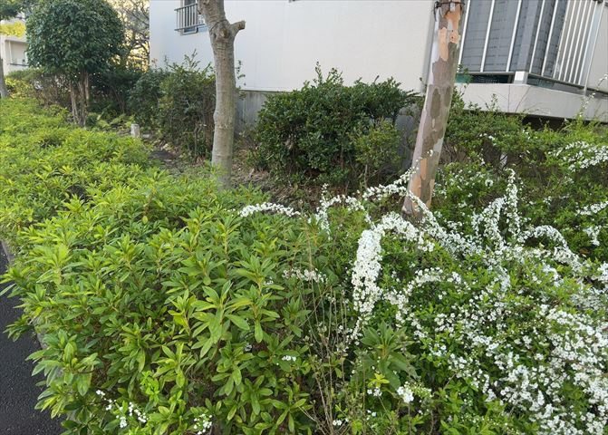 中庭（パティオ）とは、一つの建築物の内部に設けられた、壁などで囲われている庭のことを指します。コの字型、ロの字型が主流ですが、L字型の中庭もあります。最近では、インテリア性の高さからも人気があります。