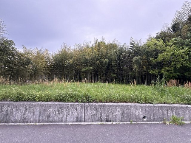外観：334000242876