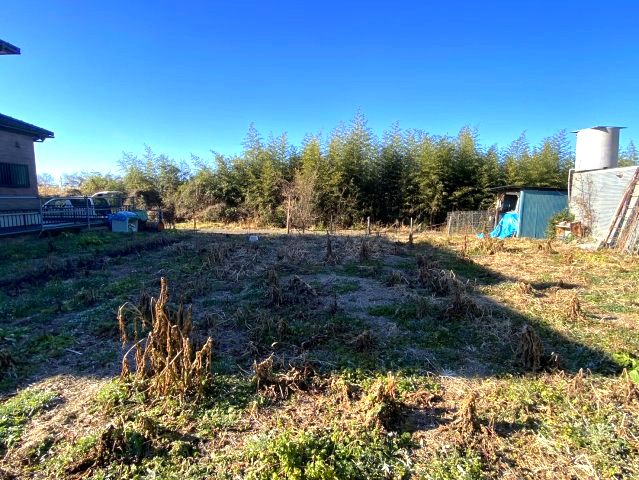 外観：308000167987