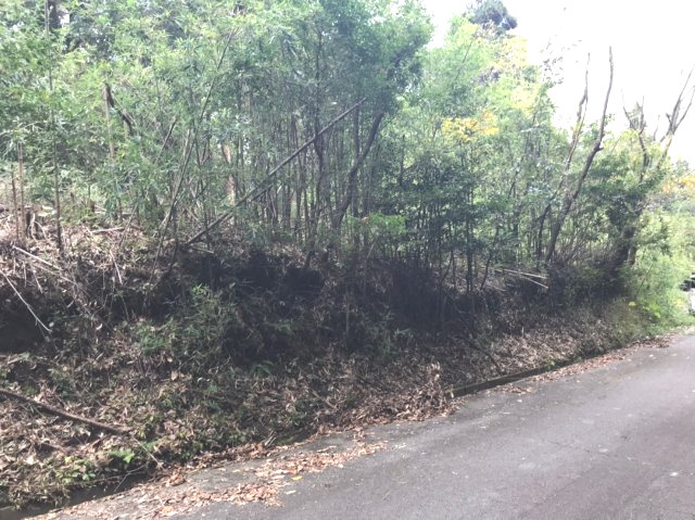 外観：346000037813