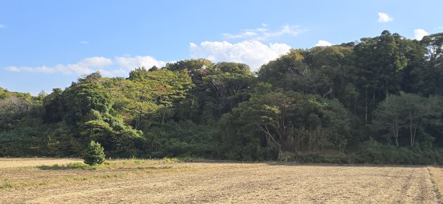 区画図：312001148698