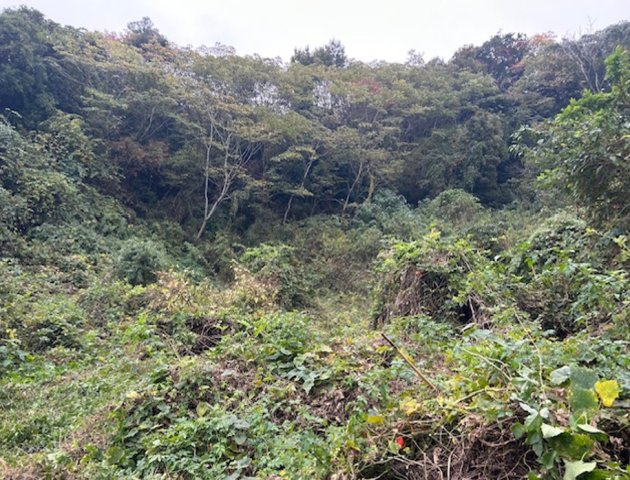 山も森もまるごと独り占め♪