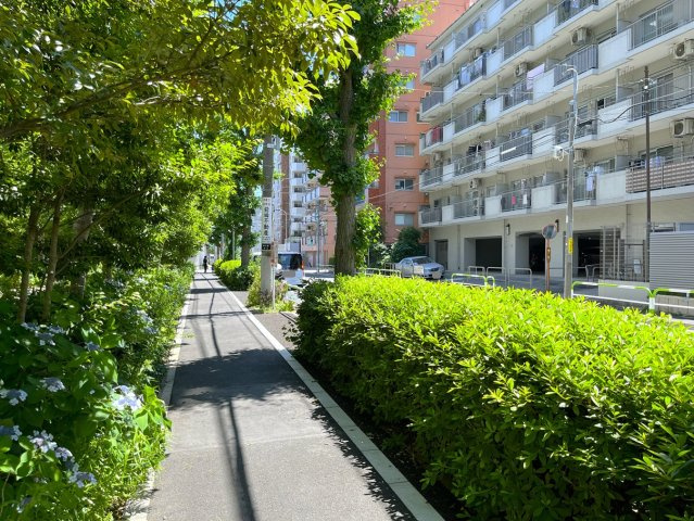 前面道路