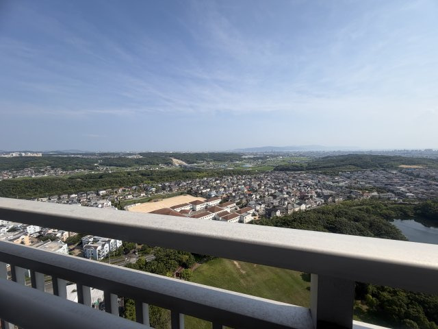 展望