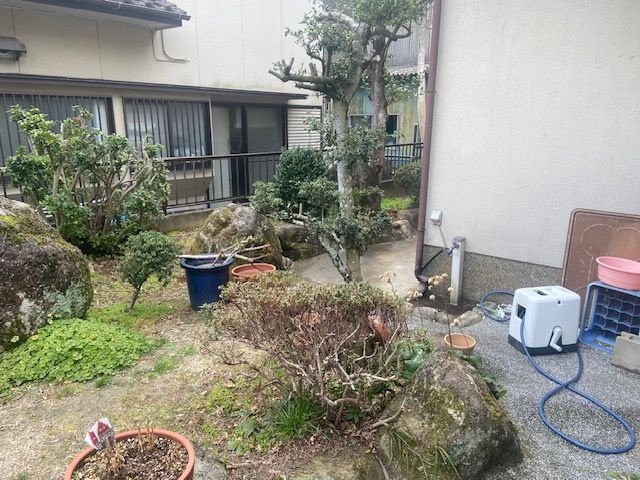 庭