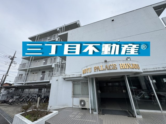 外観：311002346595