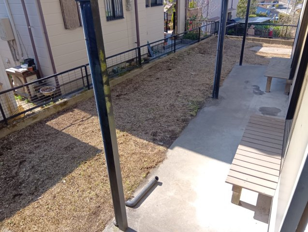 庭