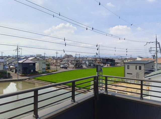 展望