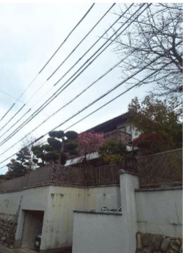 外観：328000682317