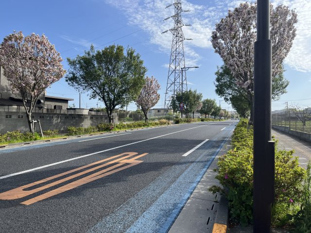 駅まで続く桜並木