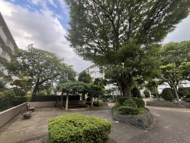 敷地内ベンチ　緑がいっぱいです