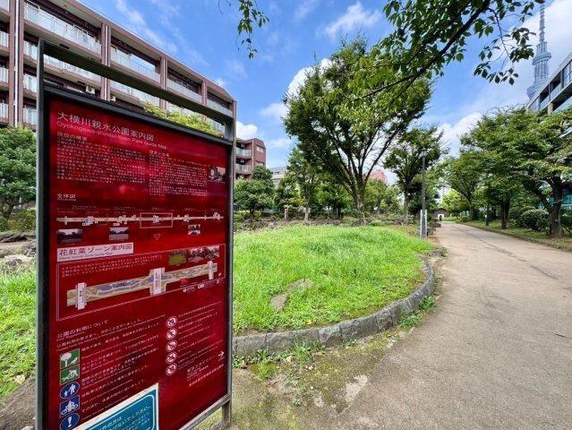 マンション周辺の雰囲気が伝わる一枚。錦糸町の利便を使いながら、落ち着いた日常を楽しめます。住環境も穏やかです。