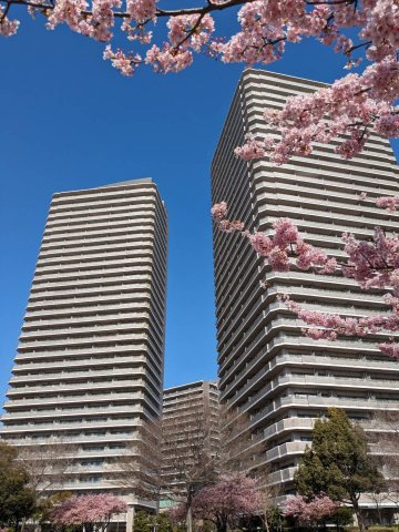 外観：314002711015