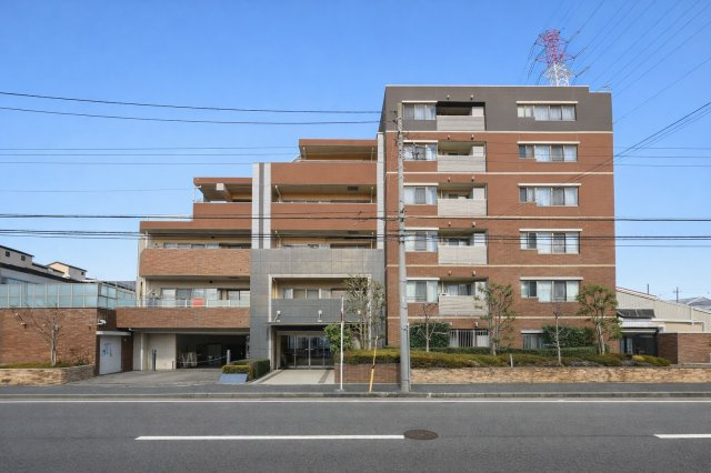 外観：314002649131