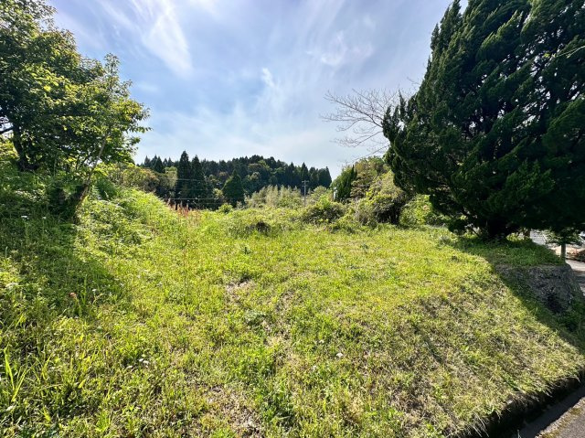 外観：346000037921