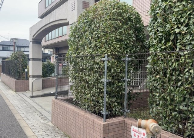 中庭（パティオ）とは、一つの建築物の内部に設けられた、壁などで囲われている庭のことを指します。コの字型、ロの字型が主流ですが、L字型の中庭もあります。最近では、インテリア性の高さからも人気があります。