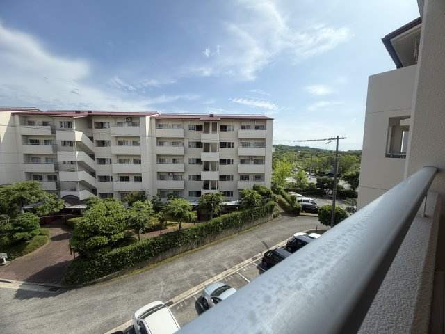 展望