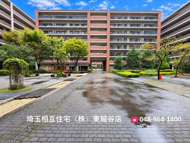 外観：311002498881