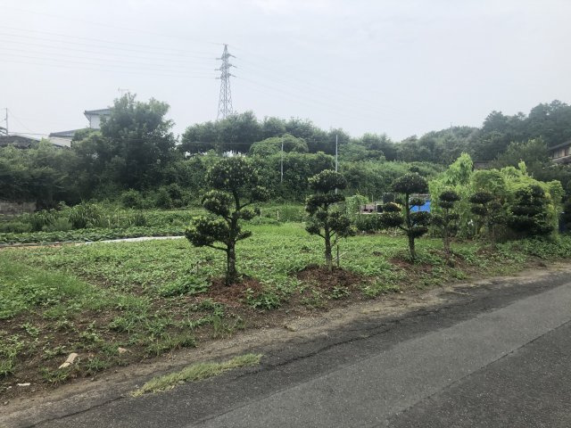 外観：343000048252