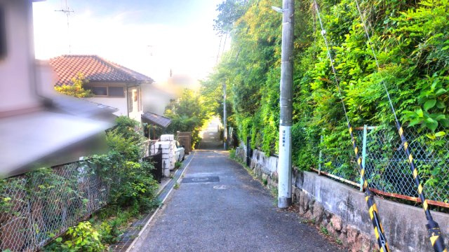 前面道路含む現地写真です