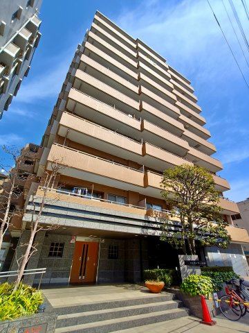 外観：313004650715