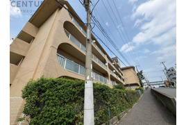 スターハイツ住吉川の外観