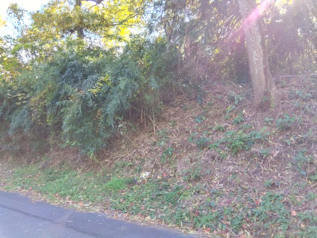現在地目は山林ですが宅地としてお使いいただけます。建築条件なし！お好きなハウスメーカーでお家が建てられます。約80坪あるので広々としています。