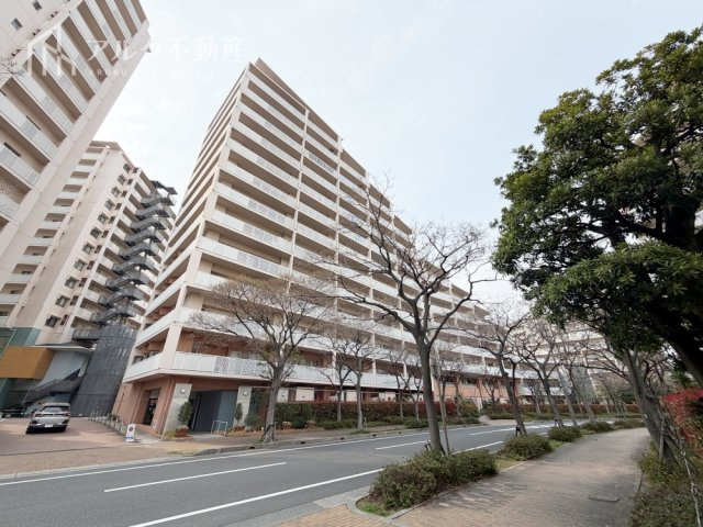 外観：328000624705