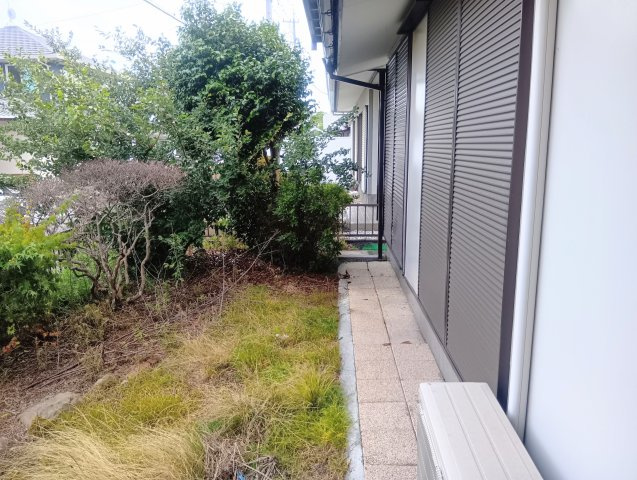 庭